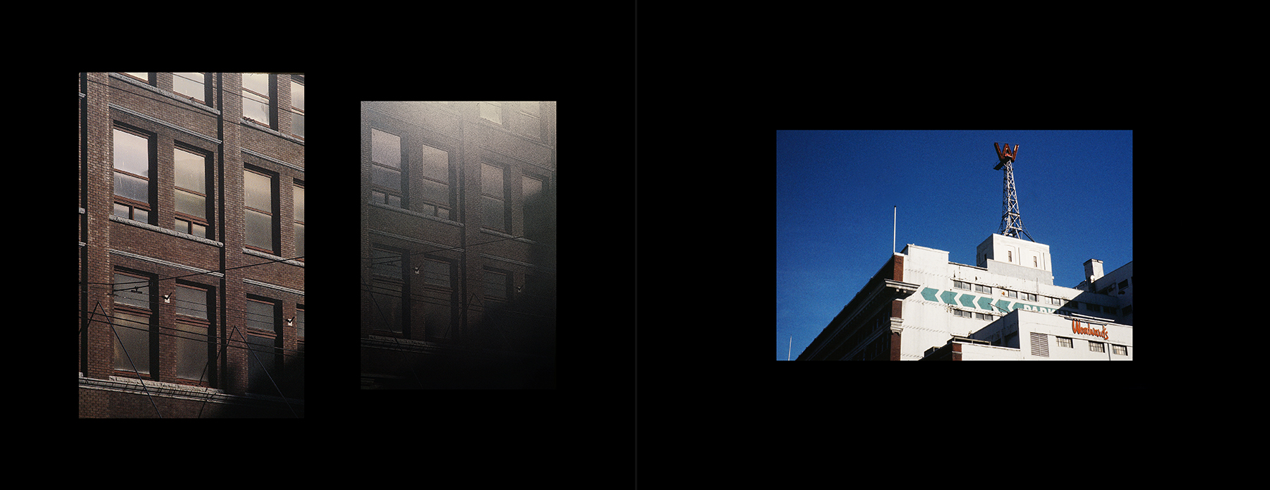 photos from Showers of Midnight Stardust [94]