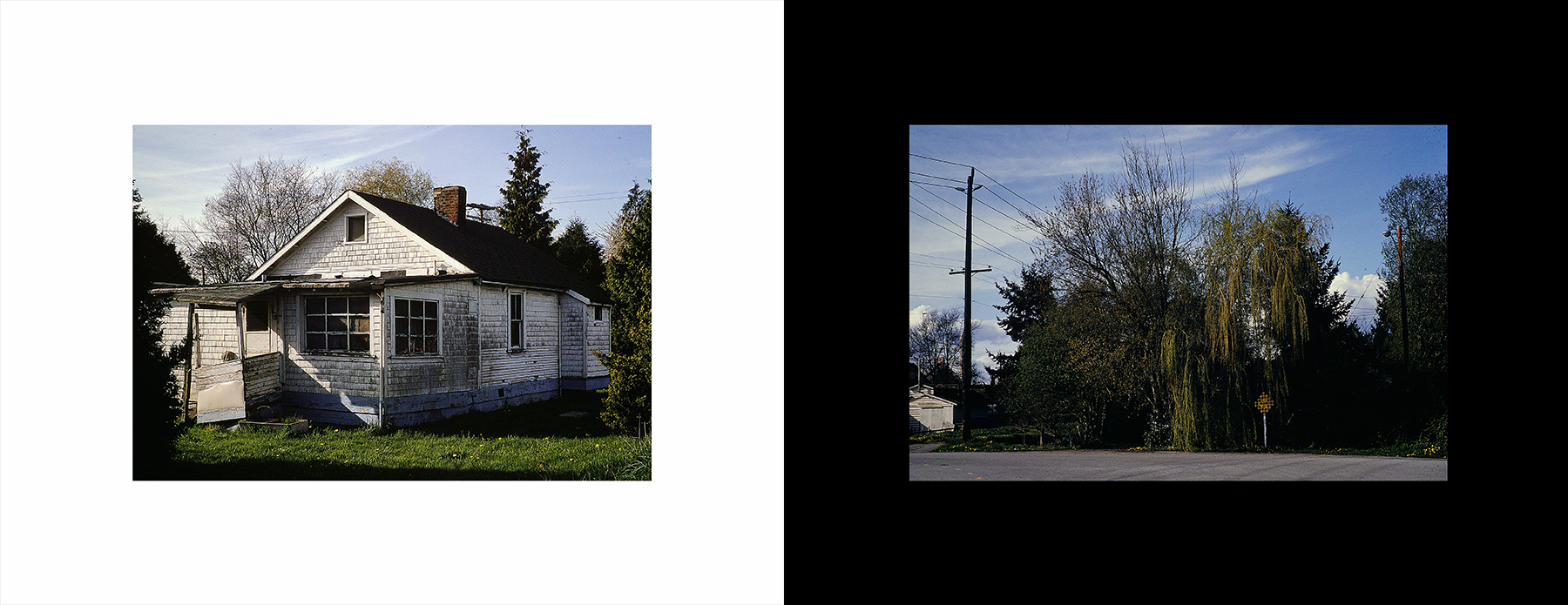 photos from Showers of Midnight Stardust [95]