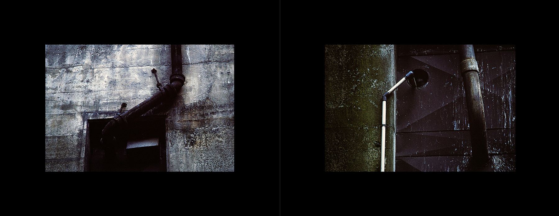 photos from Showers of Midnight Stardust [95]