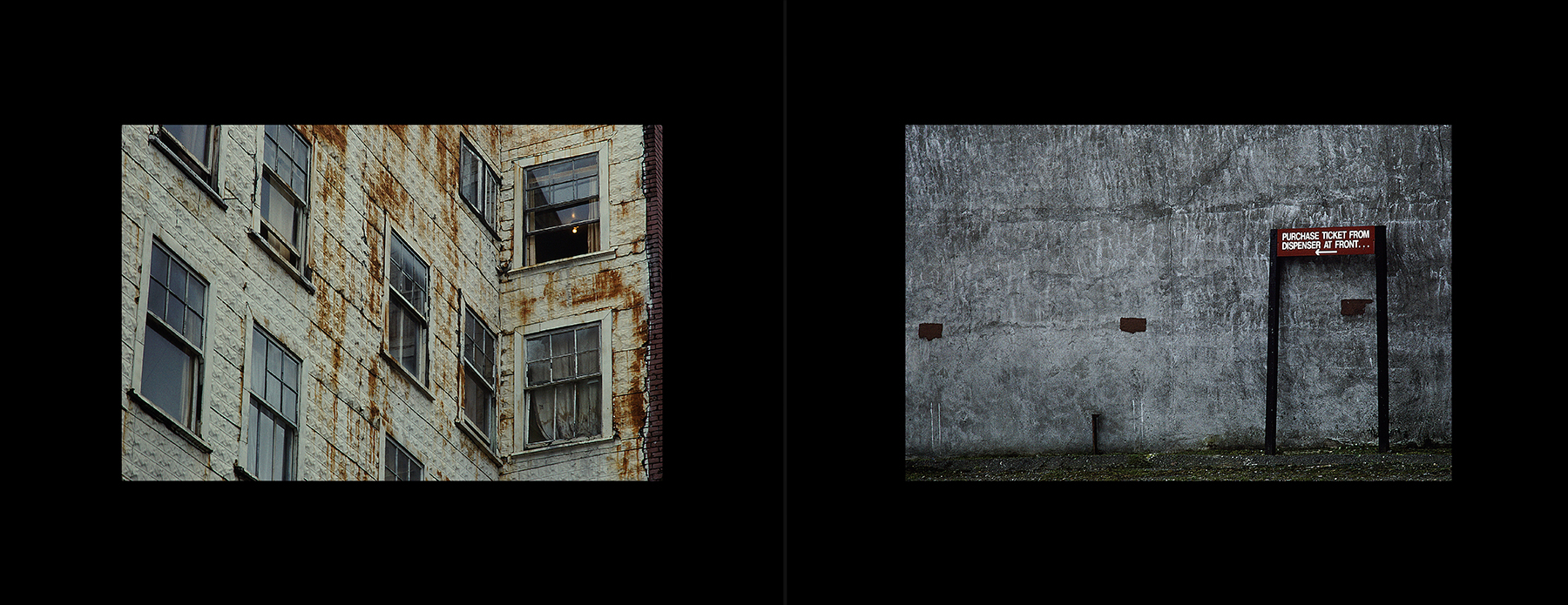 photos from Showers of Midnight Stardust [95]