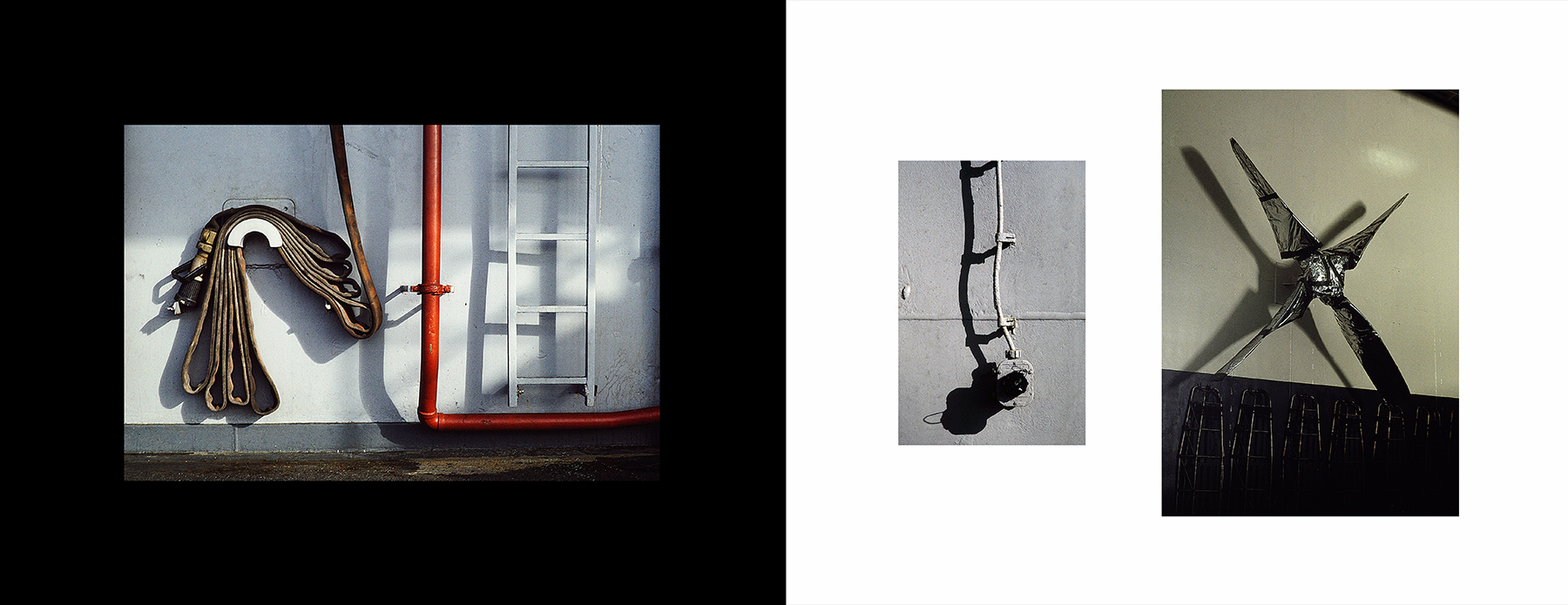 photos from Showers of Midnight Stardust [95]