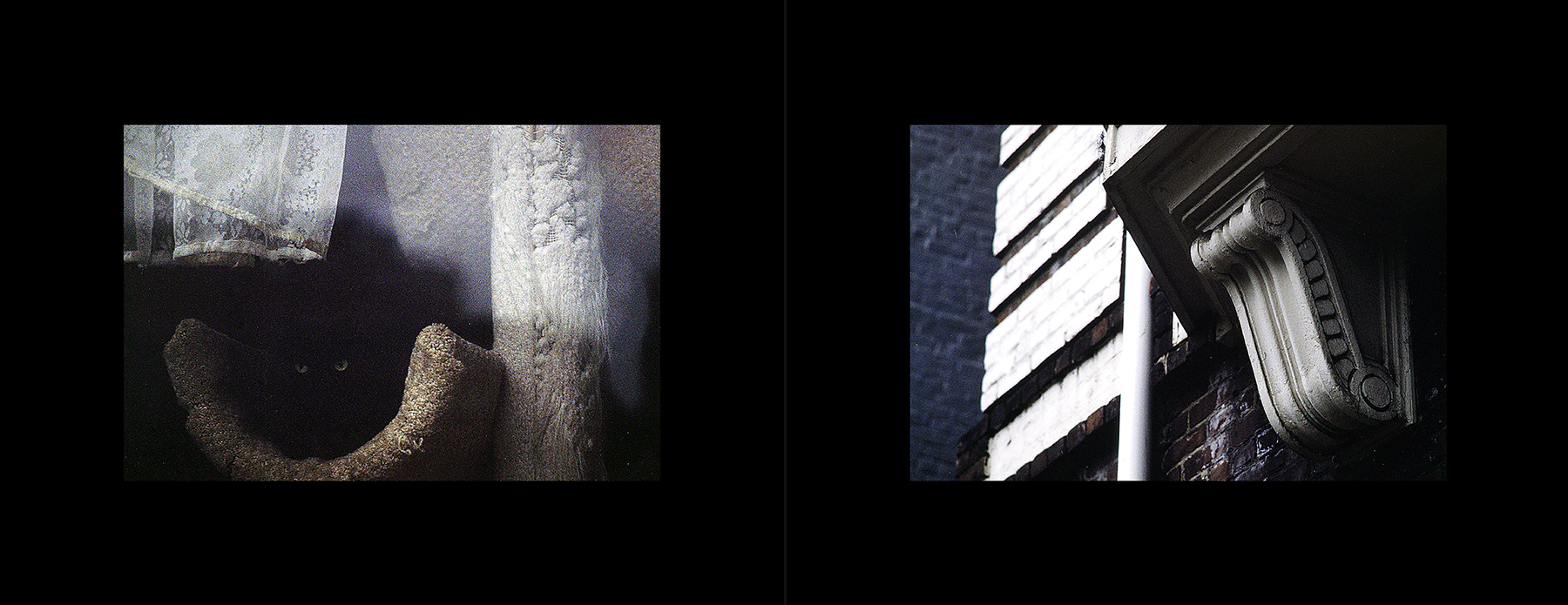 photos from Showers of Midnight Stardust [95]