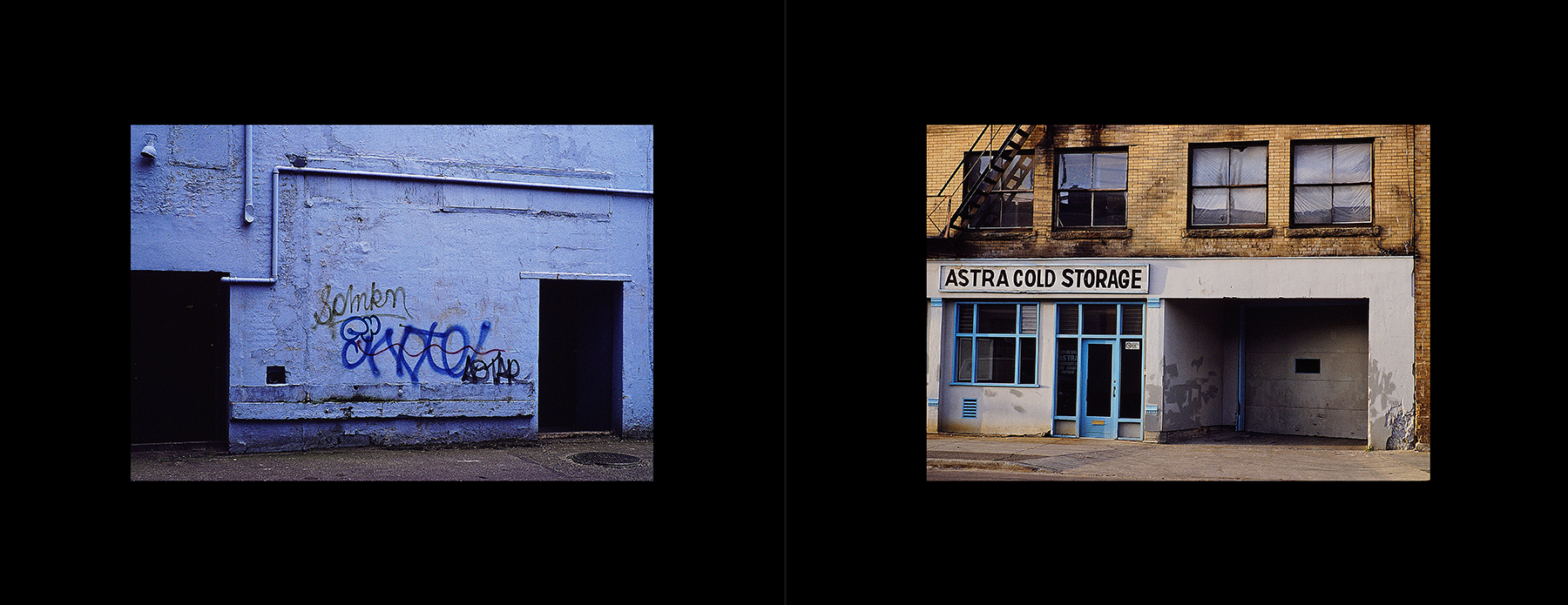 photos from Showers of Midnight Stardust [95]