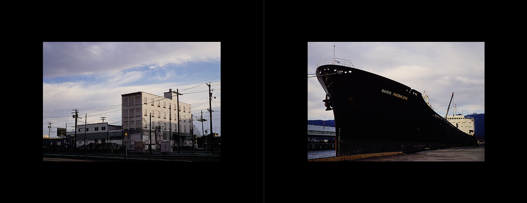 photos from Showers of Midnight Stardust [95]