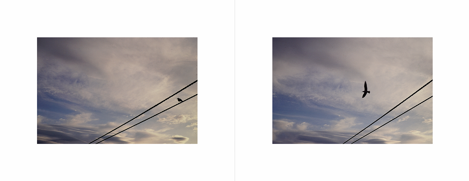 photos from Showers of Midnight Stardust [95]