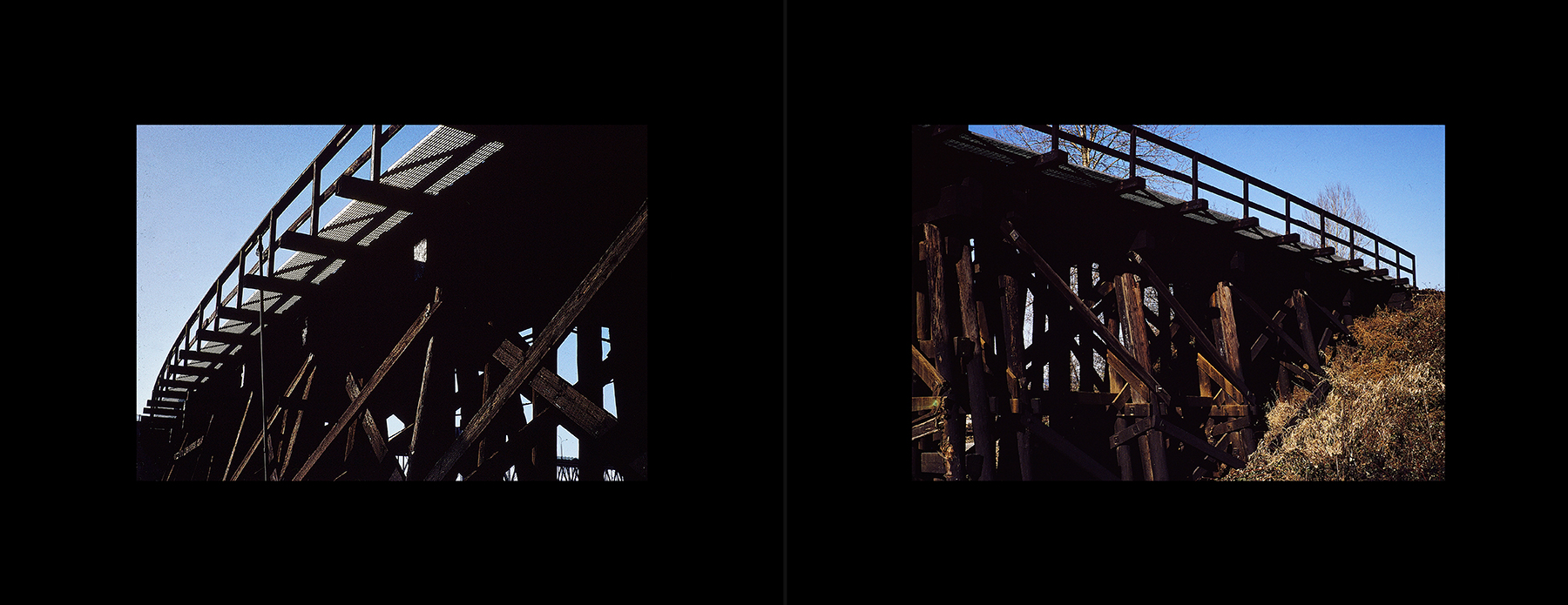 photos from Showers of Midnight Stardust [95]