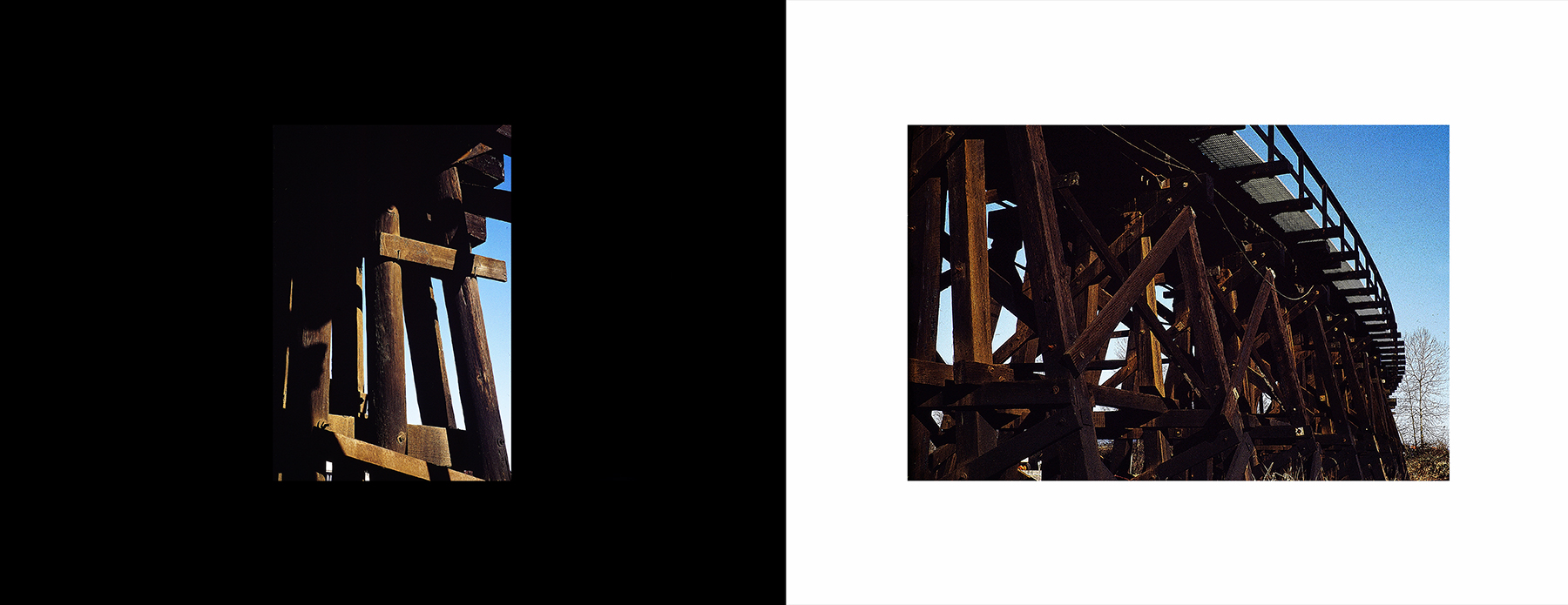 photos from Showers of Midnight Stardust [95]