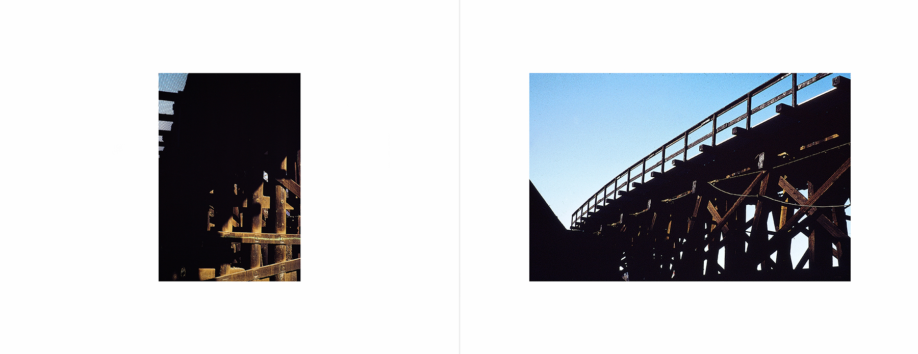 photos from Showers of Midnight Stardust [95]