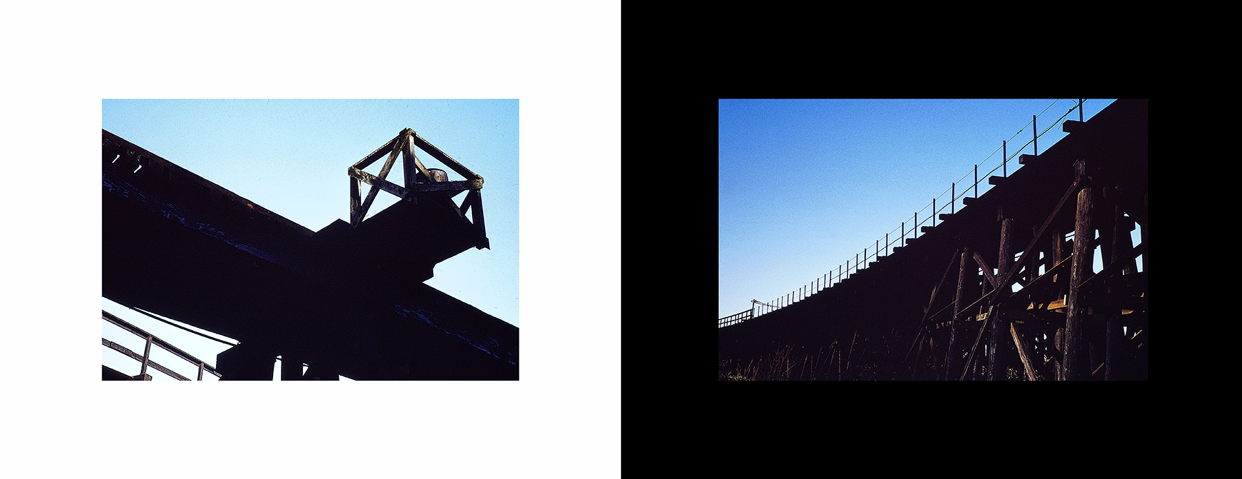 photos from Showers of Midnight Stardust [95]