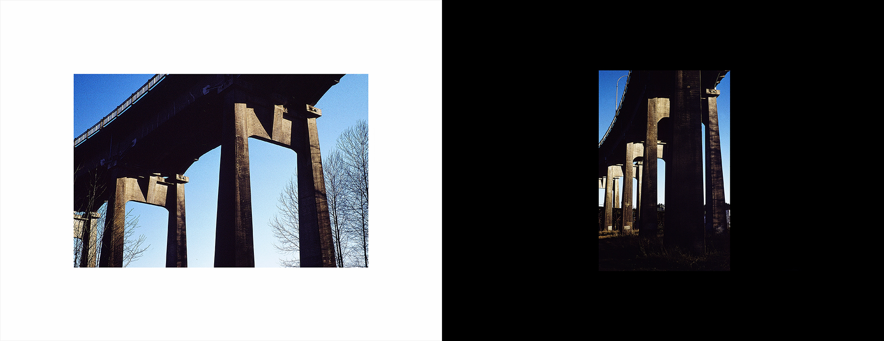 photos from Showers of Midnight Stardust [95]