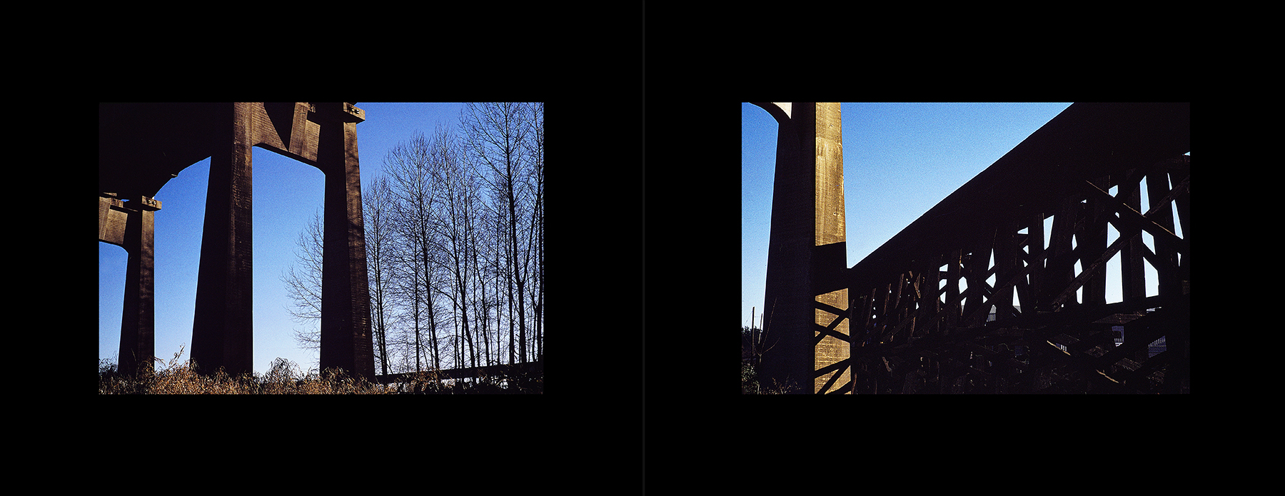 photos from Showers of Midnight Stardust [95]