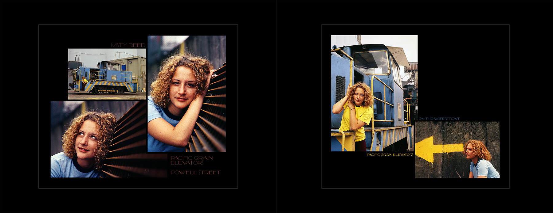 photos from Showers of Midnight Stardust [96]