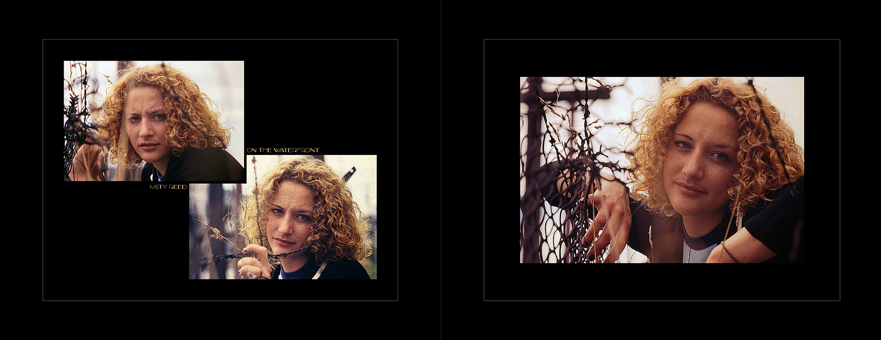 photos from Showers of Midnight Stardust [96]