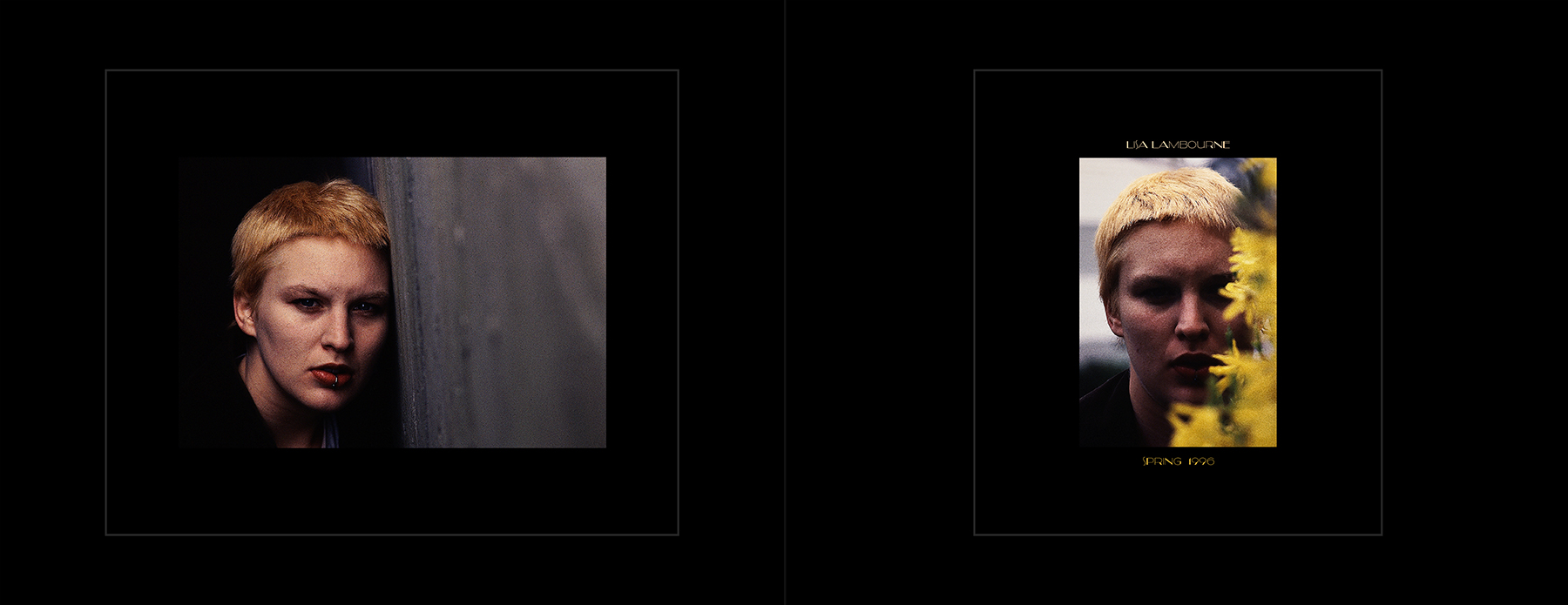 photos from Showers of Midnight Stardust [96]