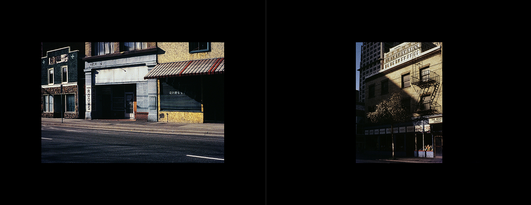 photos from Showers of Midnight Stardust [97]