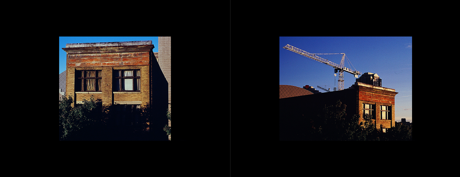 photos from Showers of Midnight Stardust [97]