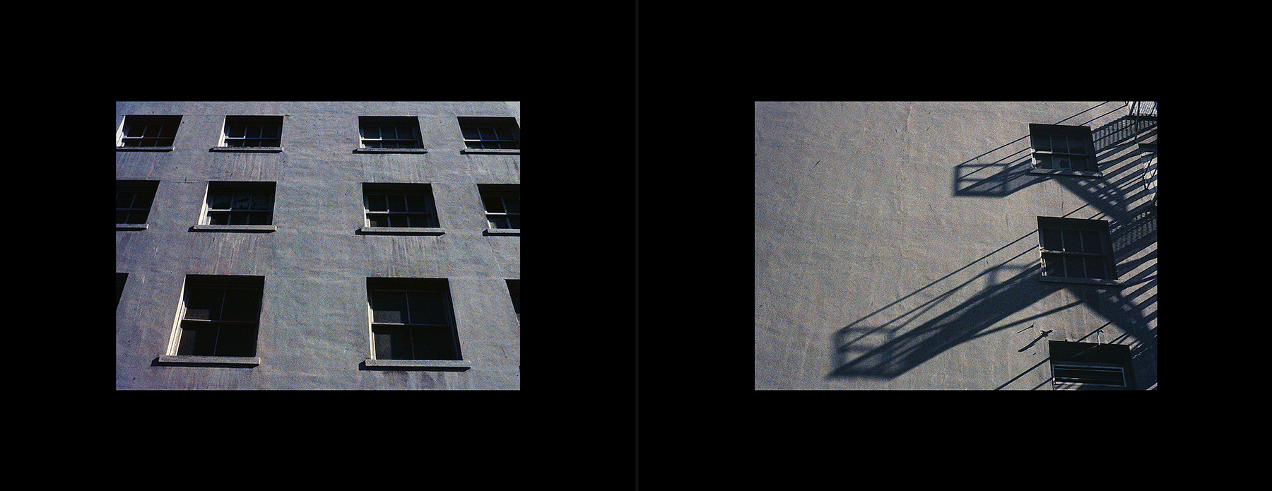 photos from Showers of Midnight Stardust [97]