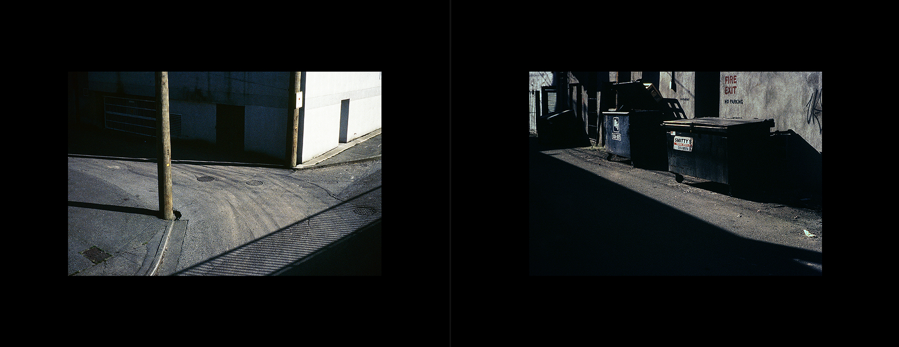 photos from Showers of Midnight Stardust [97]