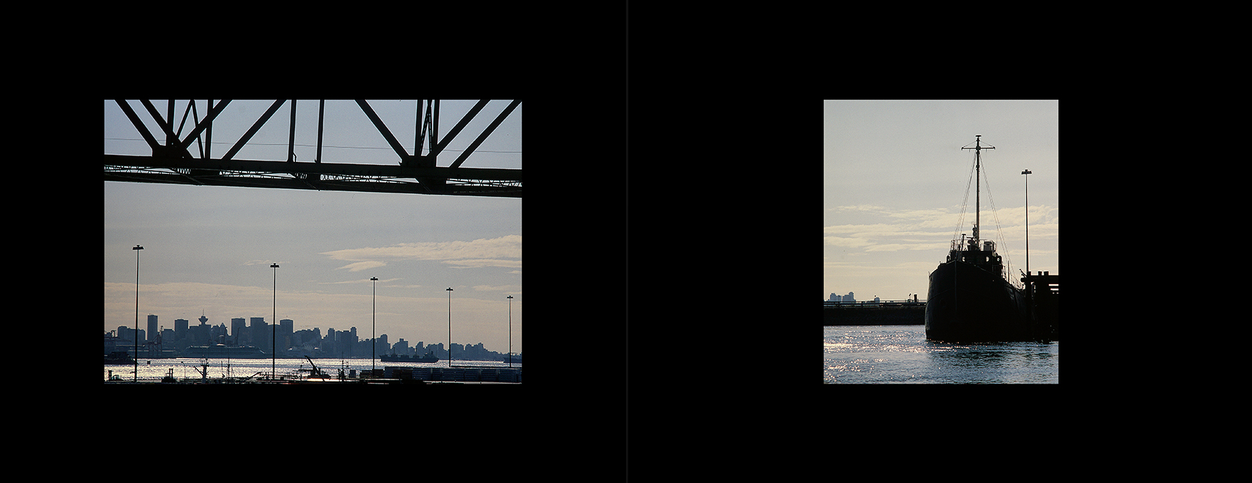 photos from Showers of Midnight Stardust [98]