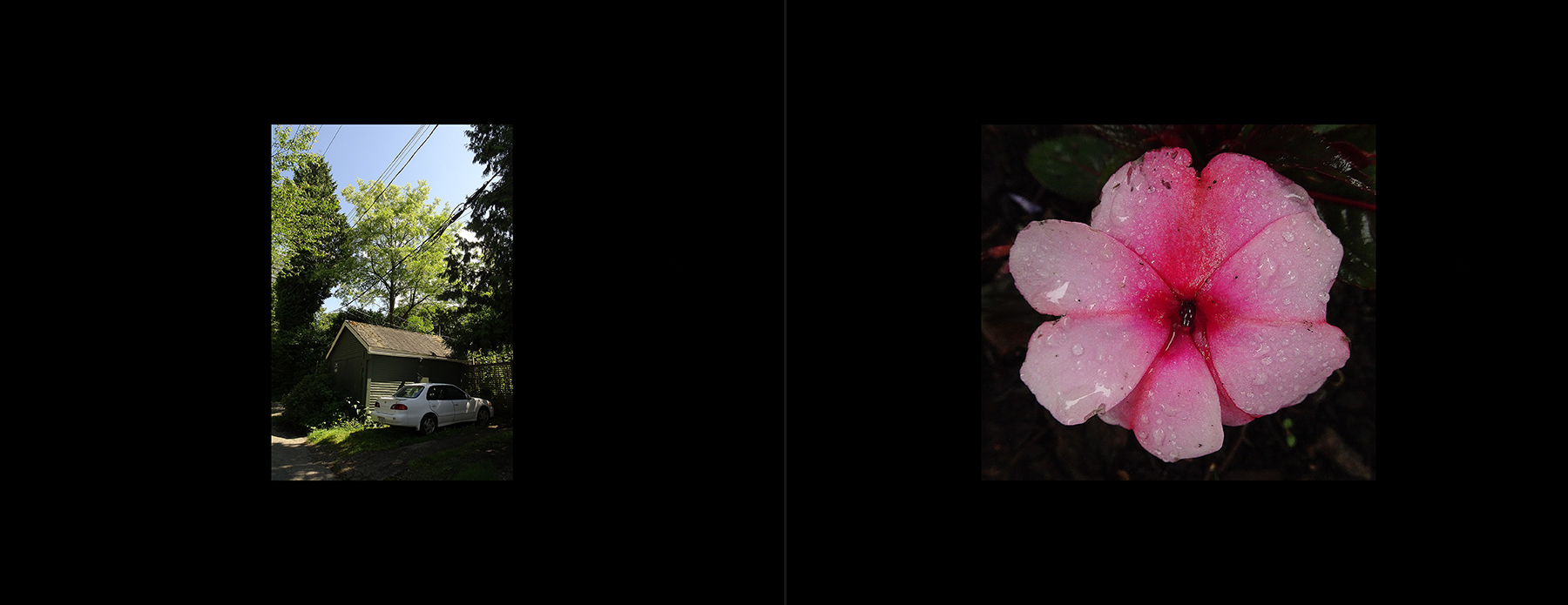 photos of the Vancouver 2020