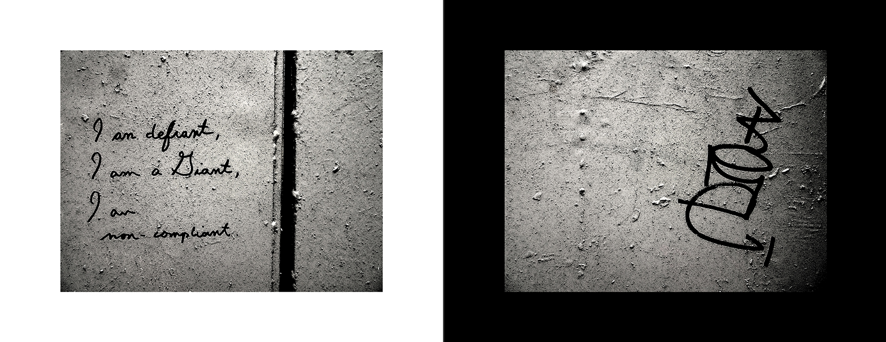 photos of the Vancouver Urban Art