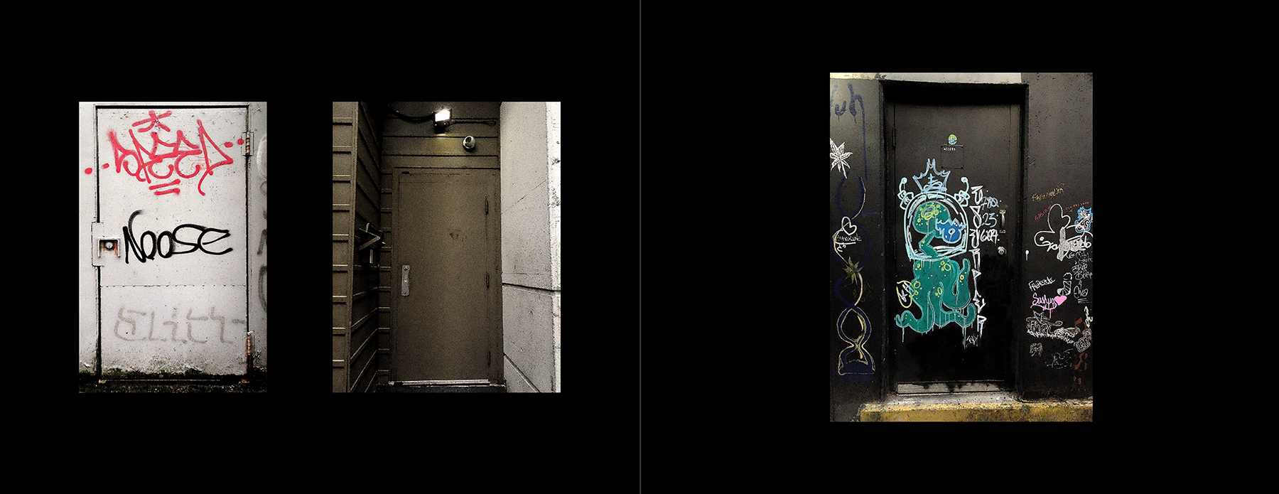 photos of the Vancouver Urban Art