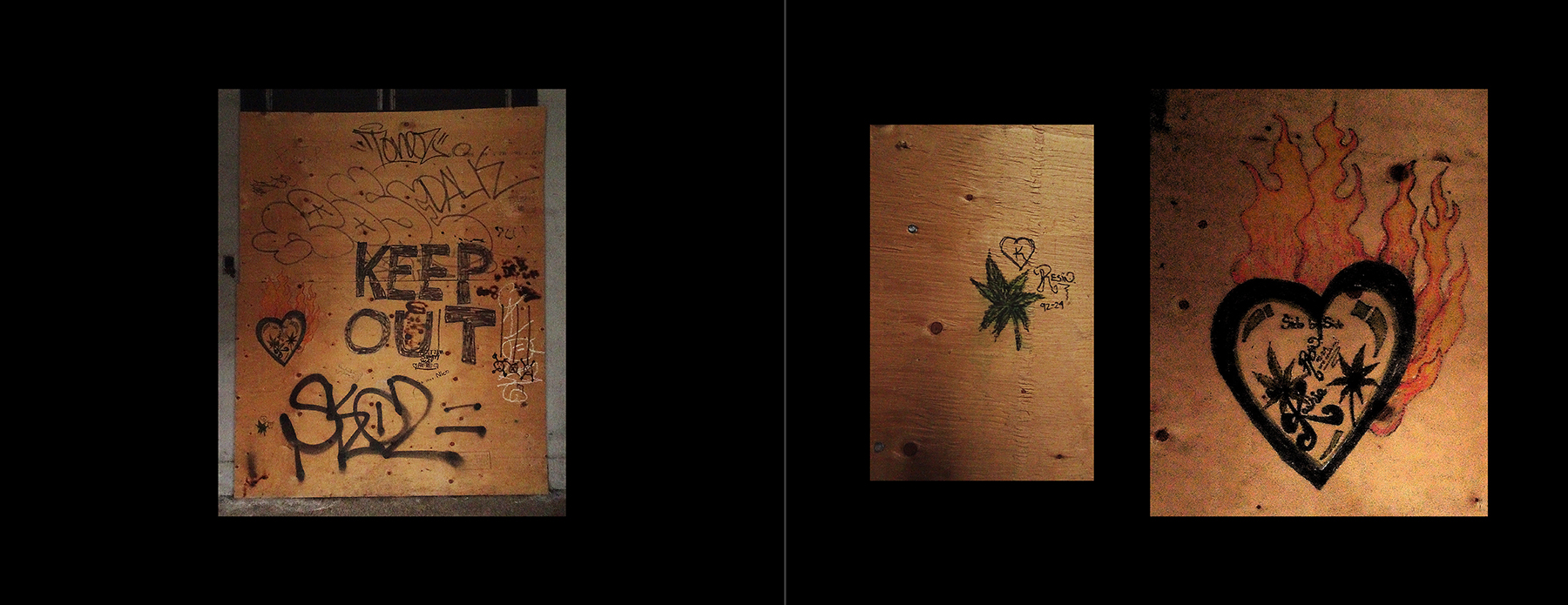 photos of the Vancouver Urban Art