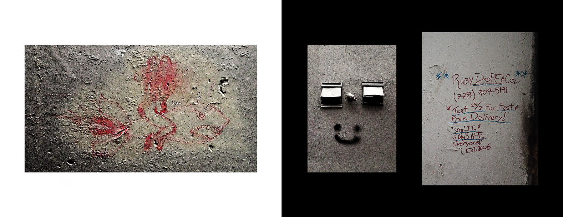 photos of the Vancouver Urban Art