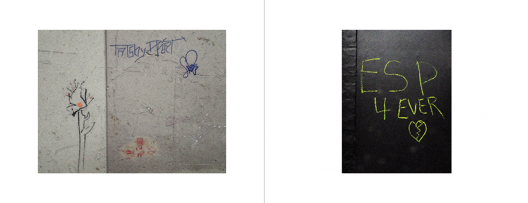 photos of the Vancouver Urban Art