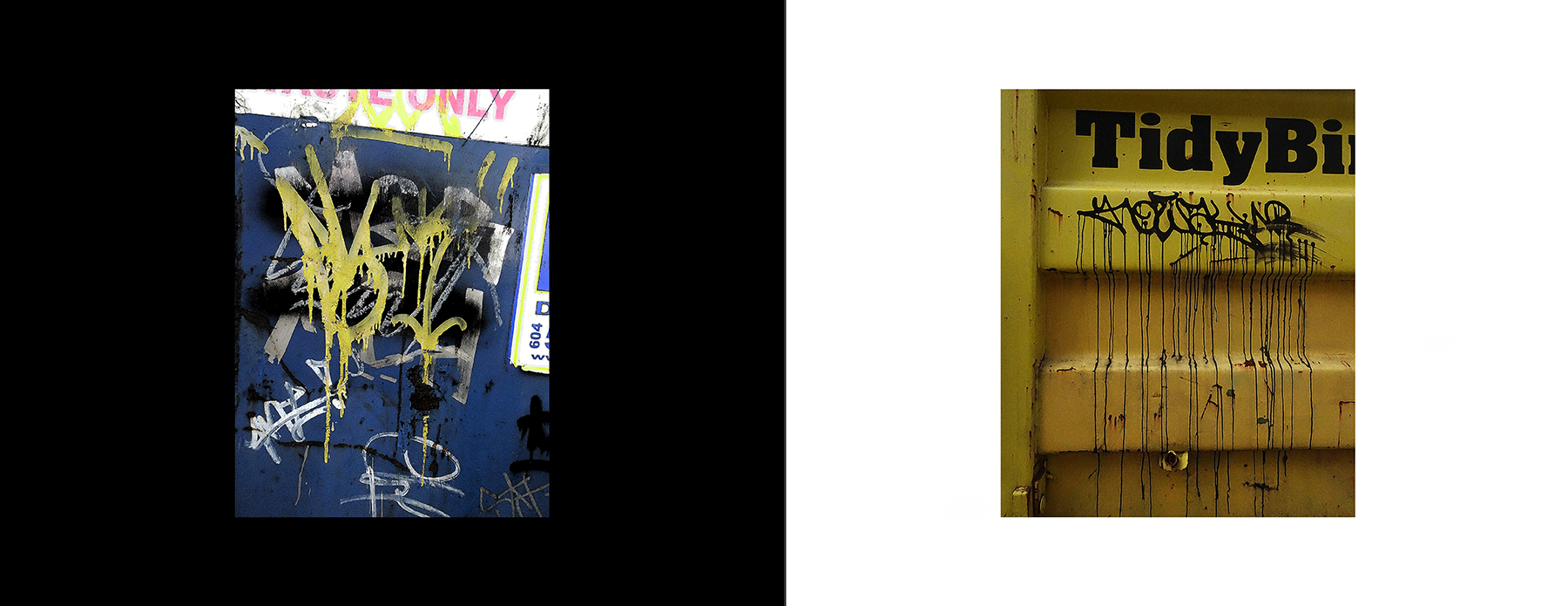 photos of the Vancouver Urban Art