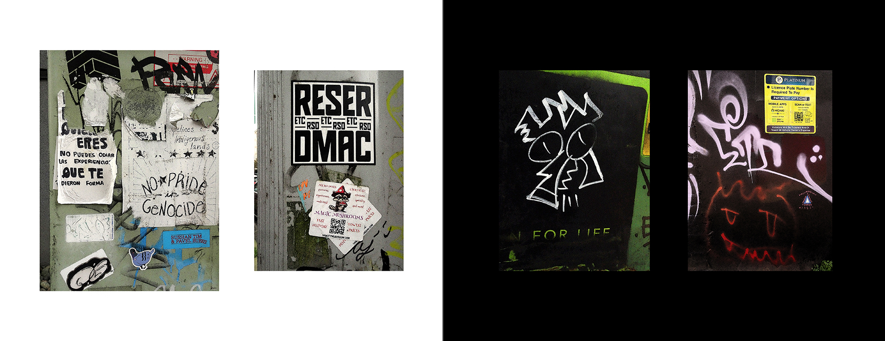 photos of the Vancouver Urban Art