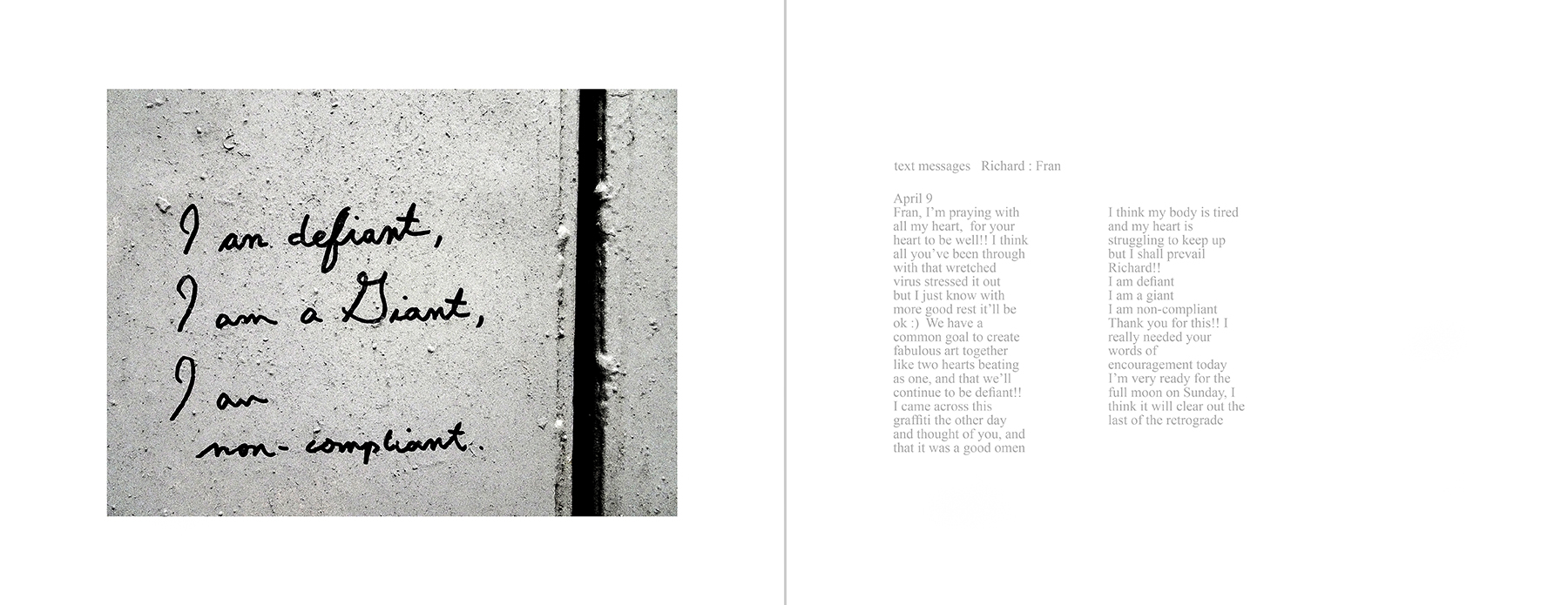 photos of the Vancouver Urban Art