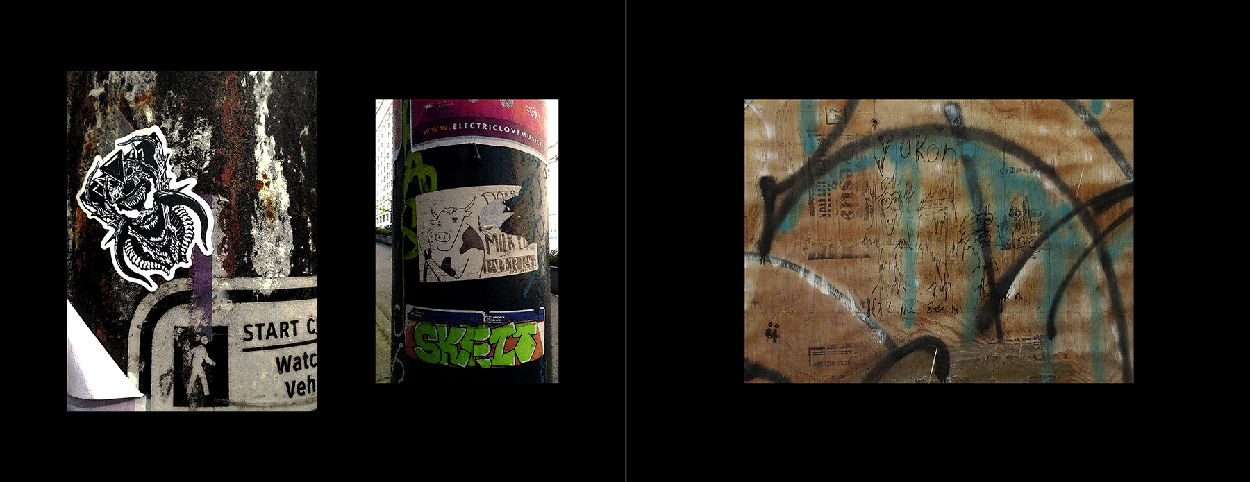 photos of the Vancouver Urban Art