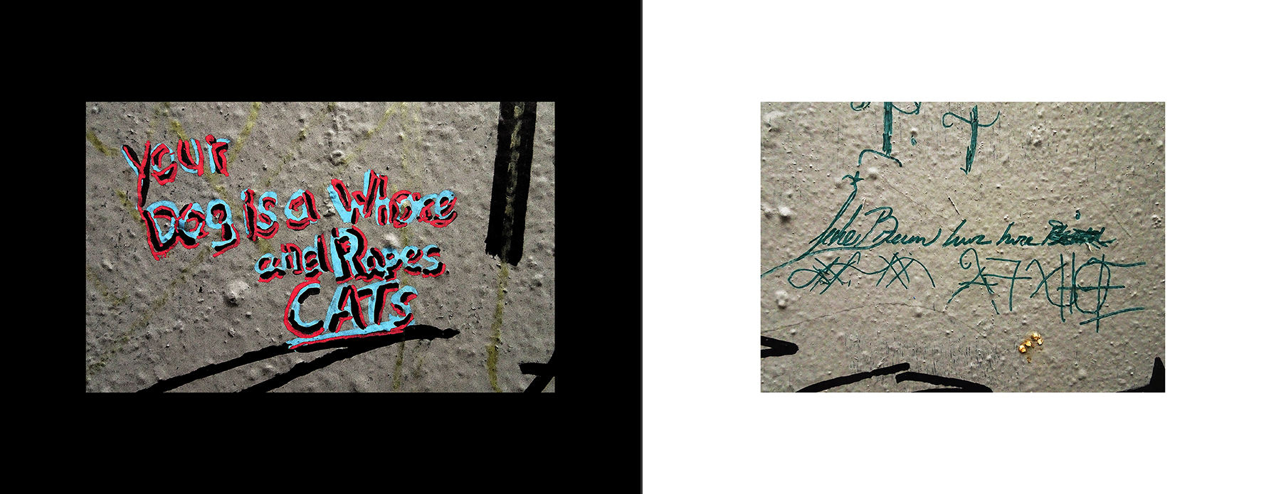 photos of the Vancouver Urban Art