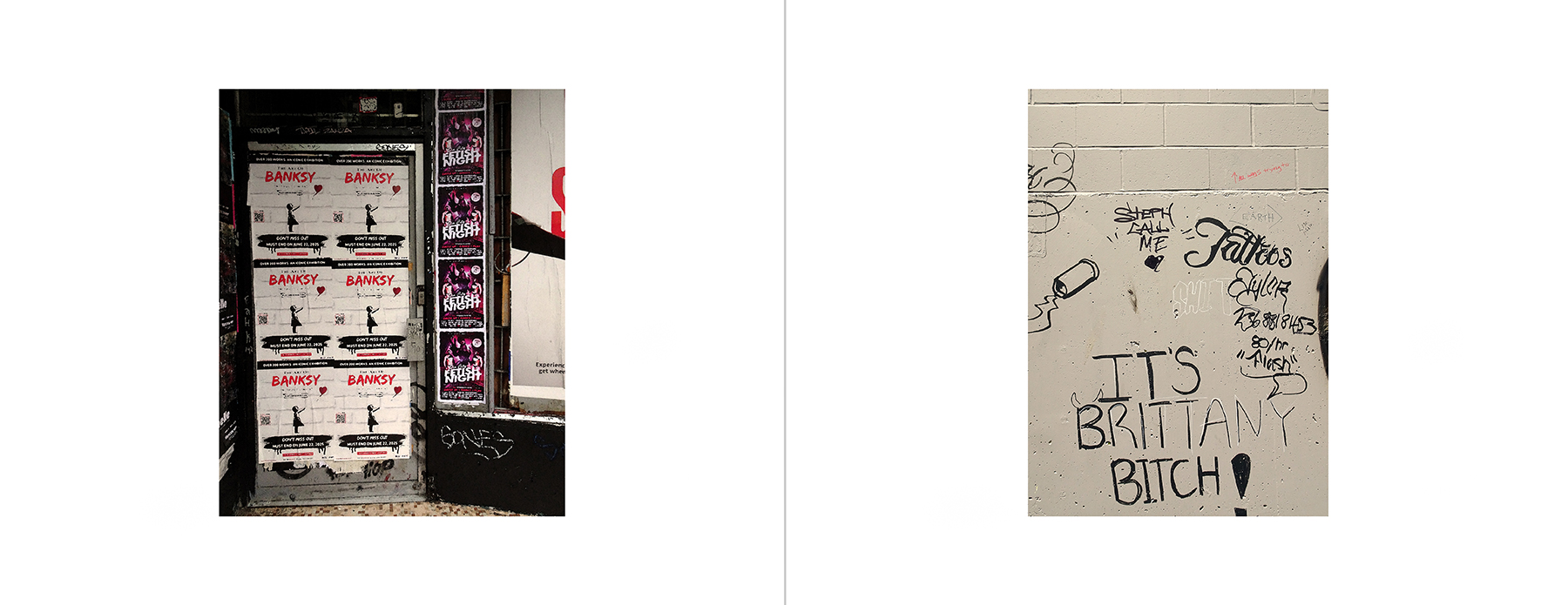 photos of the Vancouver Urban Art