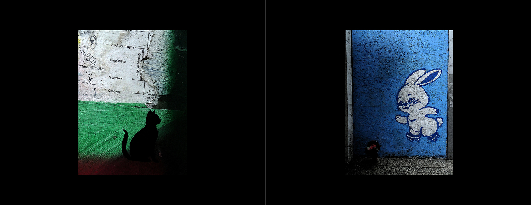 photos of the Vancouver Urban Art