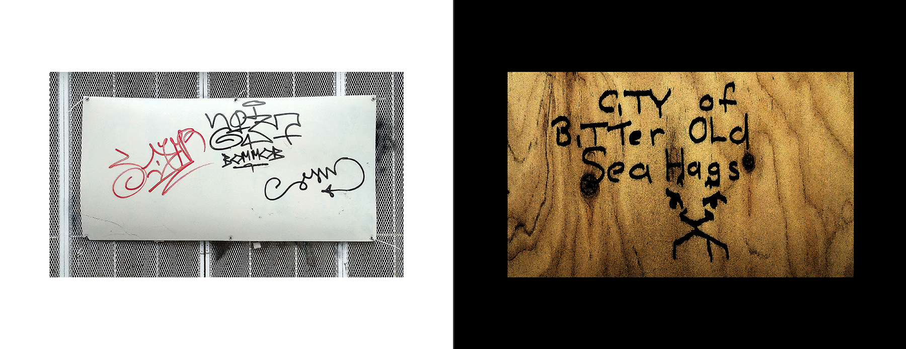 photos of the Vancouver Urban Art