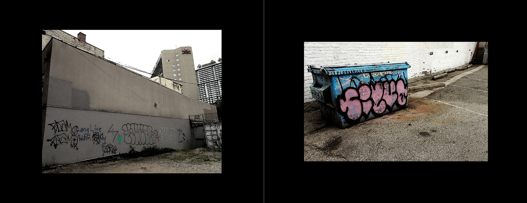 photos of the Vancouver Urban Art