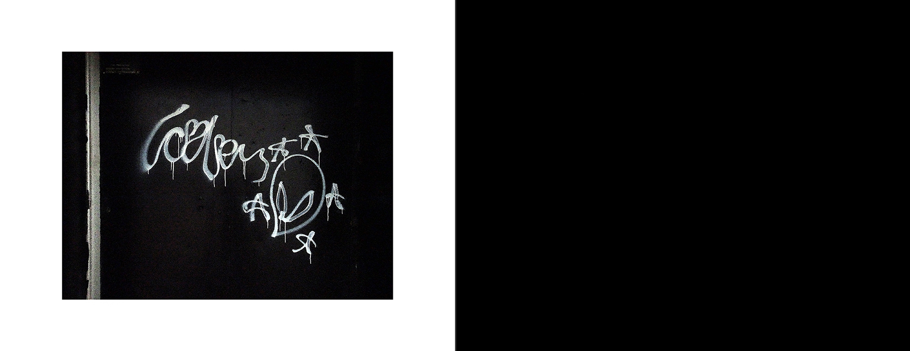 photos of the Vancouver Urban Art