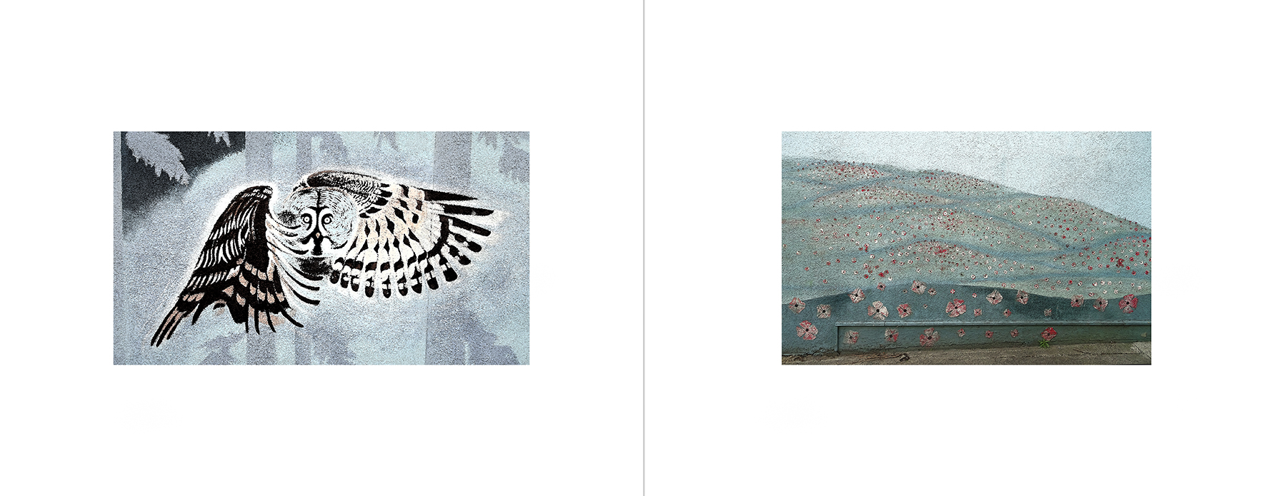 photos of the Vancouver Urban Art