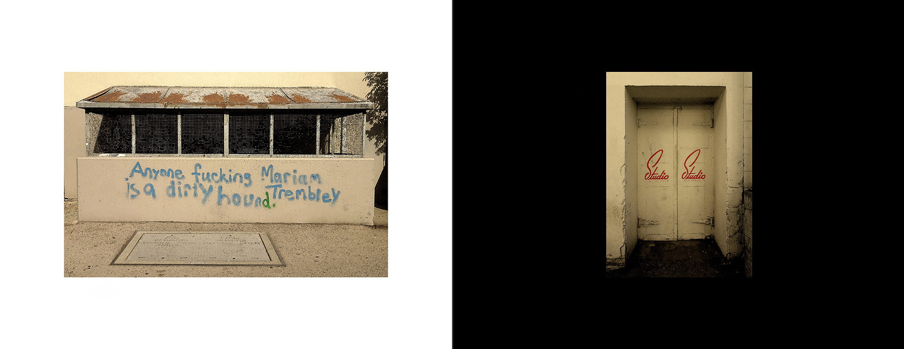 photos of the Vancouver Urban Art