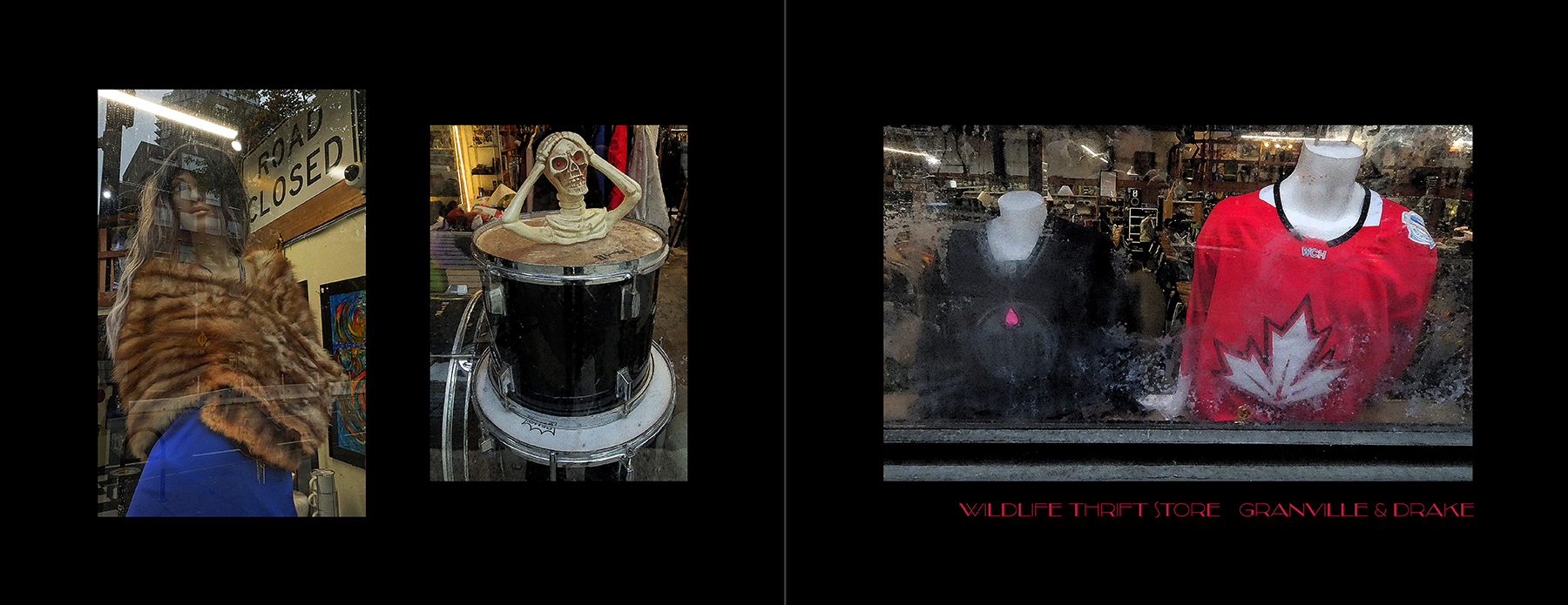 photos of the Vancouver Urban Art