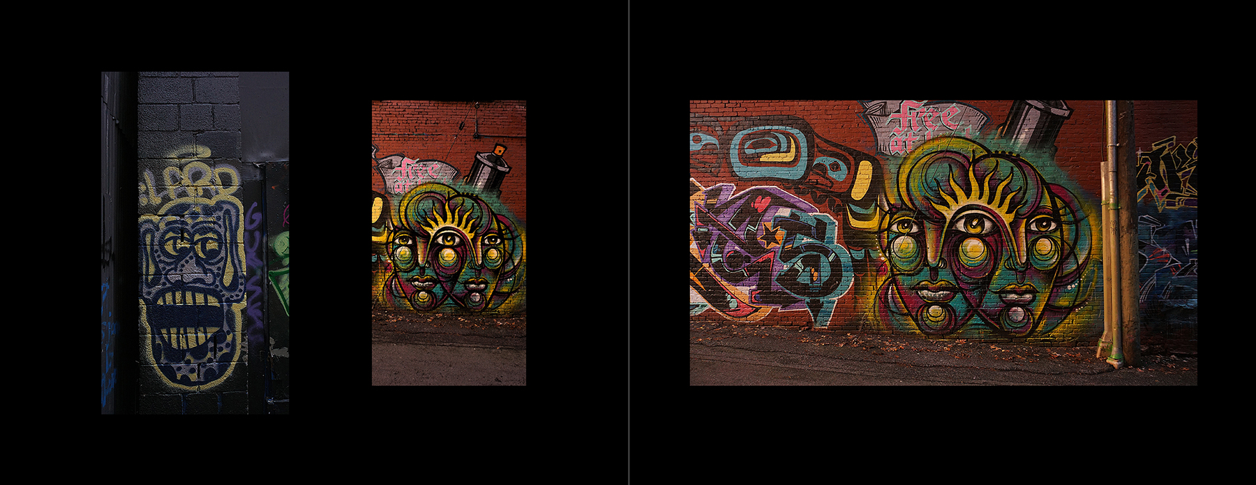 photos of the Vancouver Urban Art