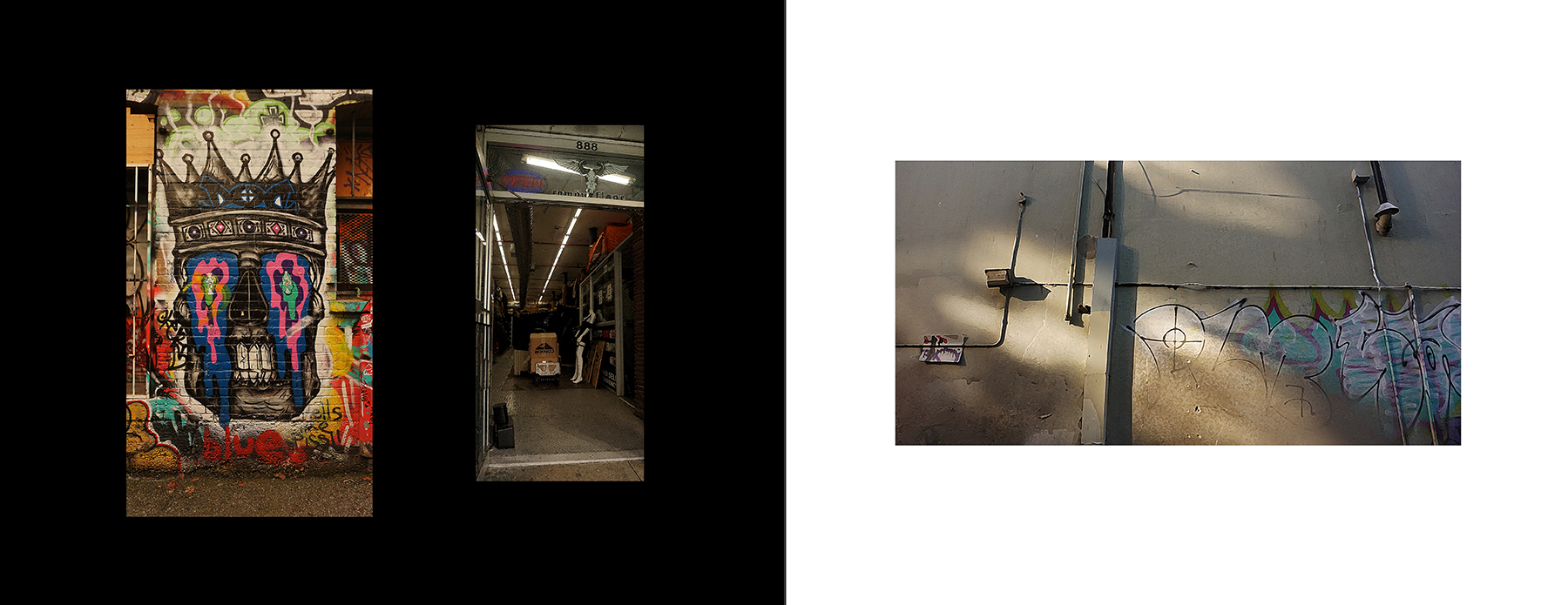 photos of the Vancouver Urban Art