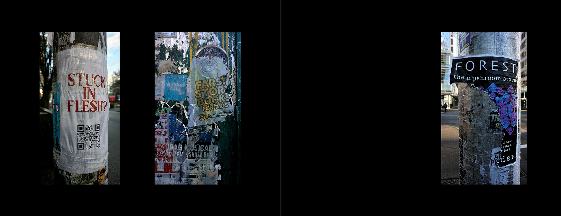 photos of the Vancouver Urban Art