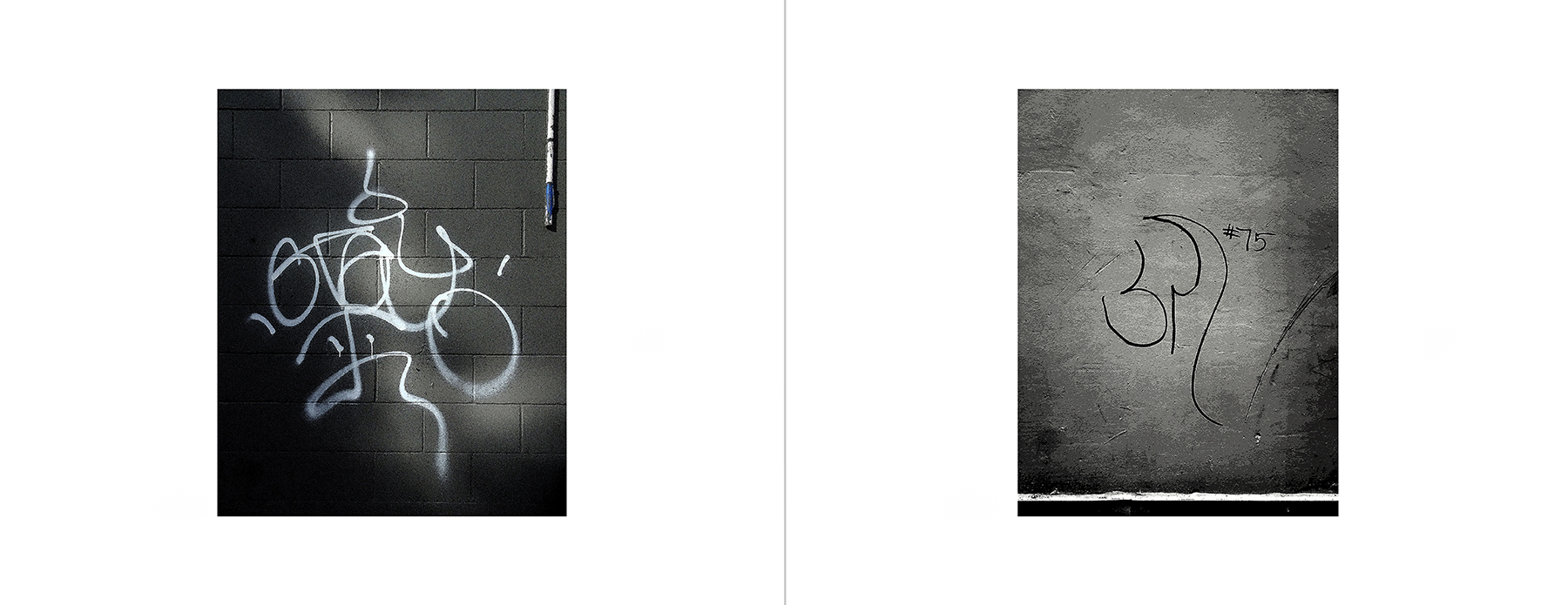 photos of the Vancouver Urban Art