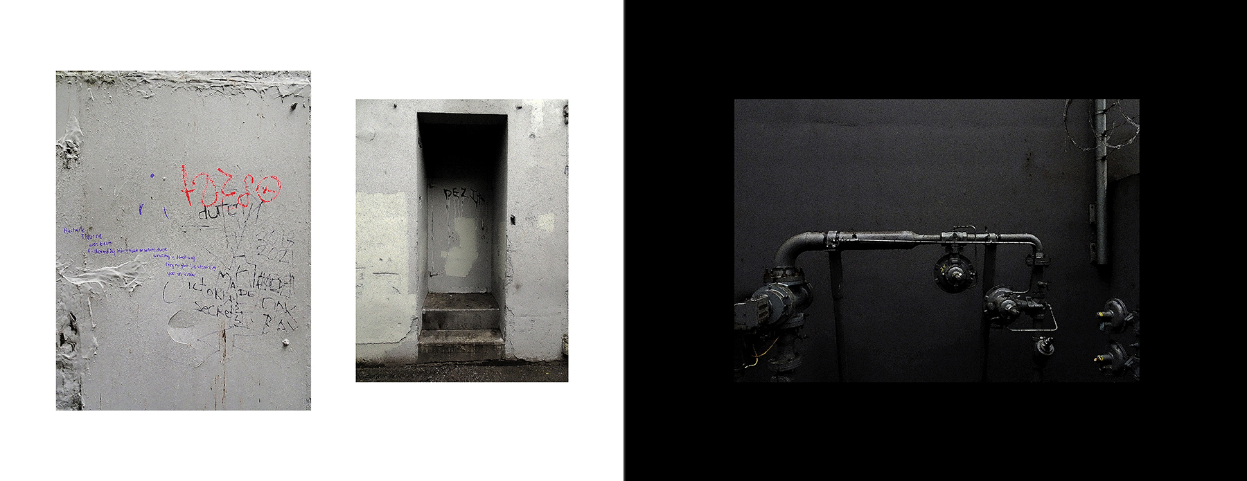 photos of the Vancouver Urban Art