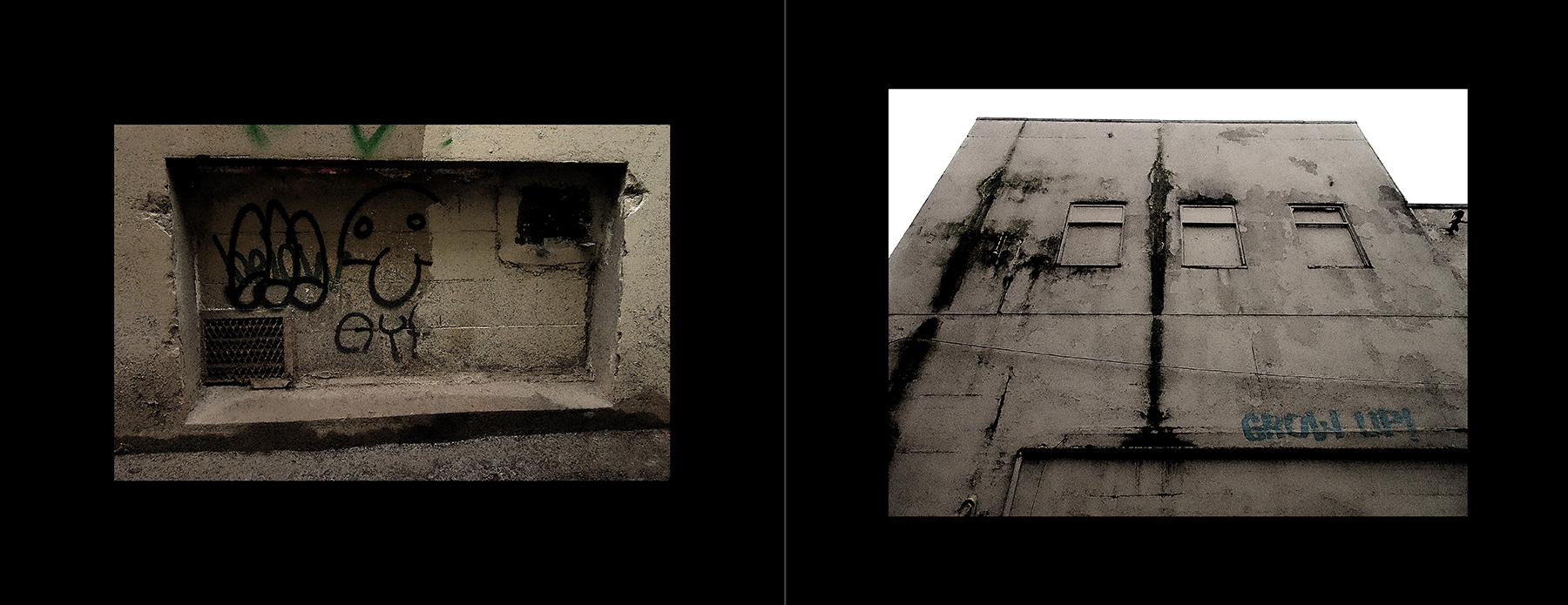 photos of the Vancouver Urban Art