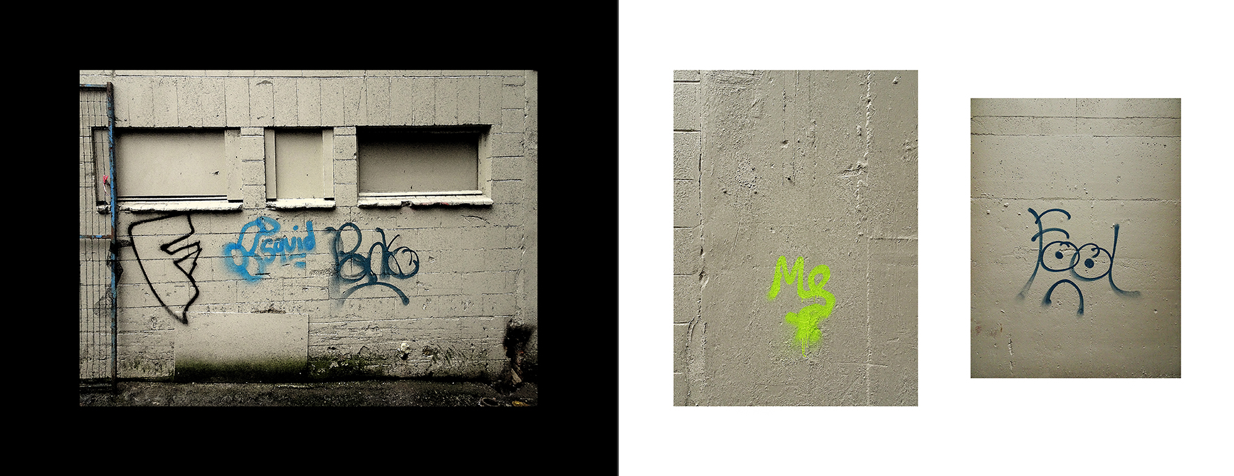 photos of the Vancouver Urban Art