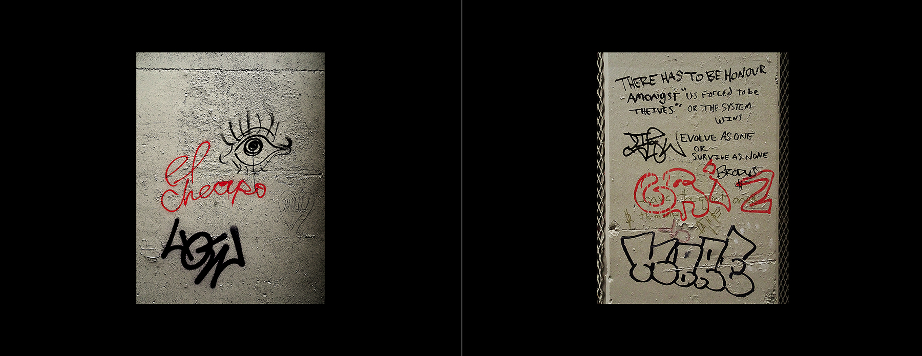 photos of the Vancouver Urban Art